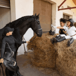 Wembley College Internship Program