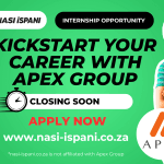 Apex Group Internship Program