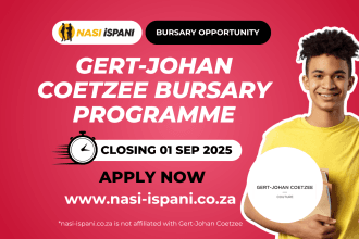 Gert-Johan Coetzee Bursary Programme