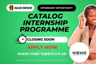 Catalog Internship Programme at Webwiser (Pty) Ltd