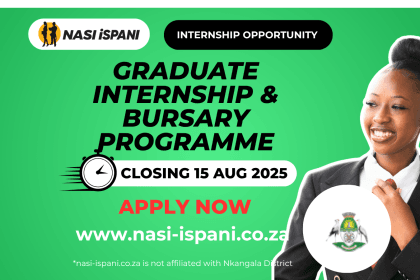 Graduate Internship & Bursary Programme