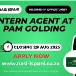Intern Agent Opportunity at Pam Golding