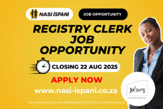 Registry Clerk Job Opportunity at the City of Johannesburg