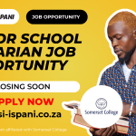 Senior School Librarian Job Opportunity at Somerset College