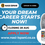 Stage Assistant Vacancies at the South African State Theatre