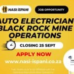 Auto Electrician at Black Rock Mine Operations