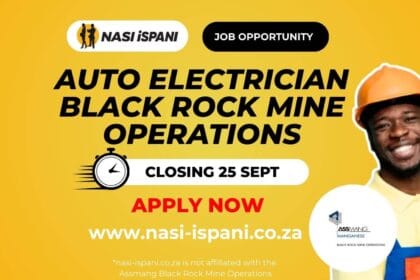 Auto Electrician at Black Rock Mine Operations