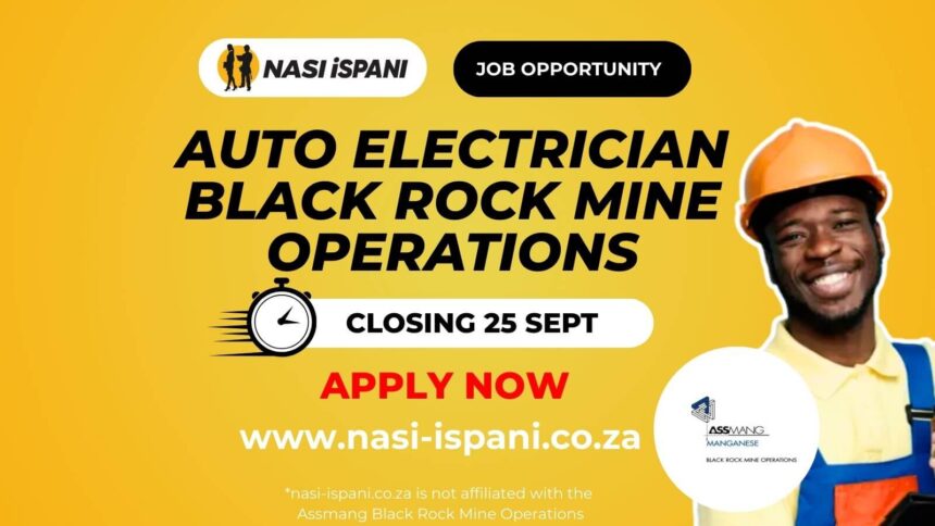Auto Electrician at Black Rock Mine Operations