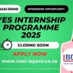 BDO South Africa YES Internship Programme 2025