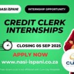 Cure Day Hospitals Credit Clerk Internships