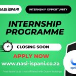 Optimi Holdings Internship Programme
