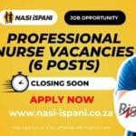 Professional Nurse Vacancies at Right to Care