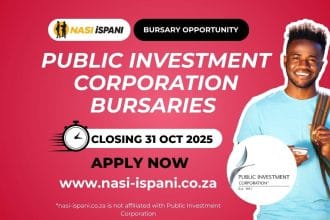 Public Investment Corporation Bursaries 2026
