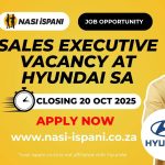 Sales Executive Vacancy at Hyundai SA