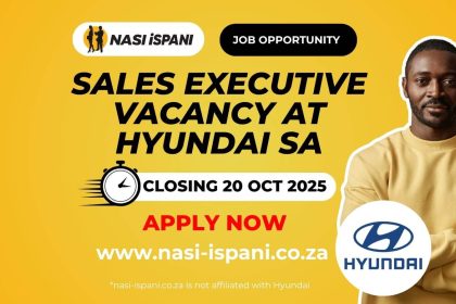 Sales Executive Vacancy at Hyundai SA