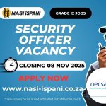 Security Officer Vacancy at Necsa Group