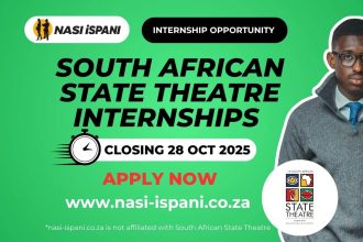 South African State Theatre Finance Internships 2026