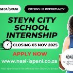 Steyn City School internship