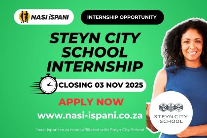 Steyn City School internship