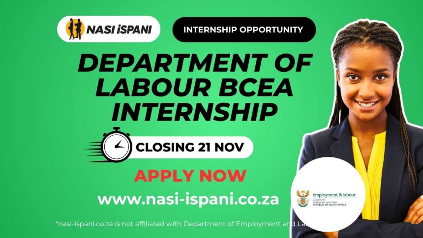 Department of Labour BCEA Internship 2025