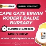 Cape Gate Erwin Robert Balde Bursary South Africa 2026