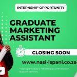 Blueion Graduate Marketing Assistant