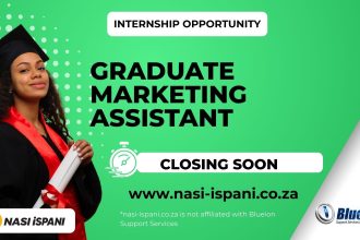 Blueion Graduate Marketing Assistant