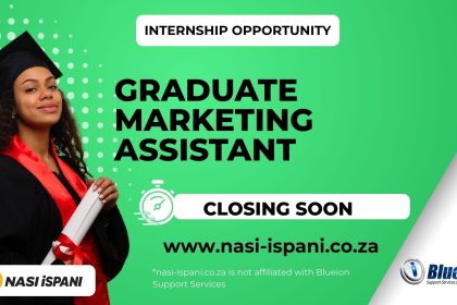 Blueion Graduate Marketing Assistant