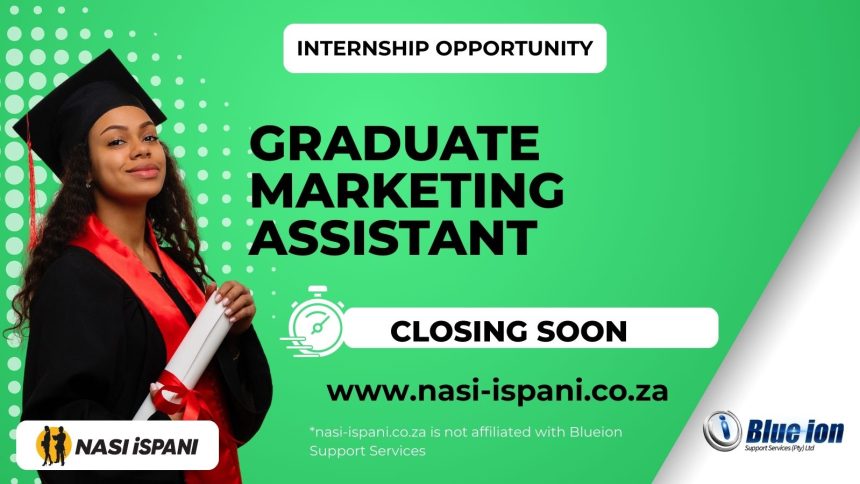 Blueion Graduate Marketing Assistant