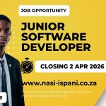Junior Software Developer
