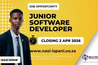 Junior Software Developer