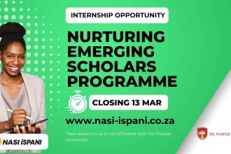 Nurturing Emerging Scholars Programme (NESP) 2026