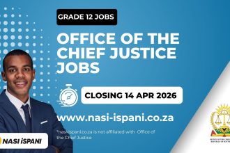 Office of the Chief Justice Entry Level Jobs
