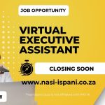 Virtual Executive Assistant Opportunity at RAY AI