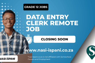 Data Entry Clerk Remote Job