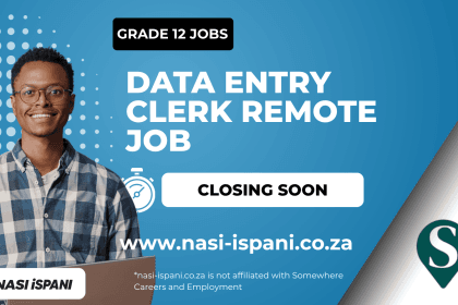 Data Entry Clerk Remote Job