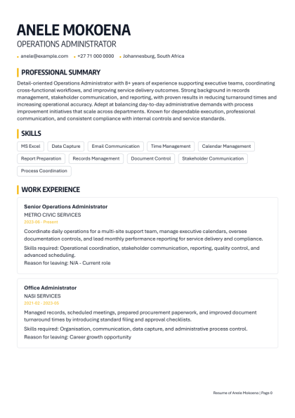 Nasi Ispani Professional Design CV template preview